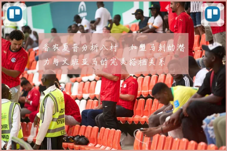 香农夏普分析八村塁加盟马刺的潜力与文班亚马的完美搭档关系