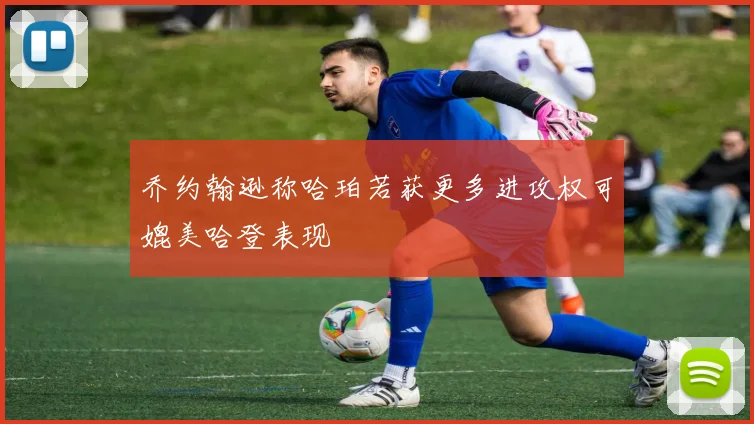 乔约翰逊称哈珀若获更多进攻权可媲美哈登表现